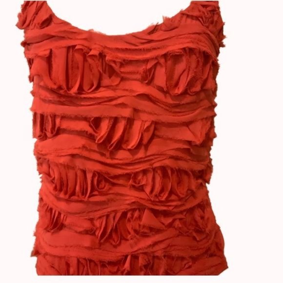 Cynthia Steffe Sleeveless Raw Textured Blouse Sz 4 - Picture 2 of 11